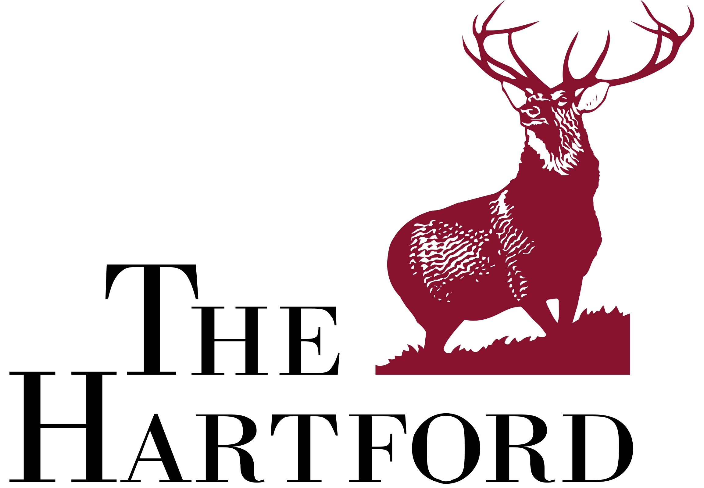 our partner