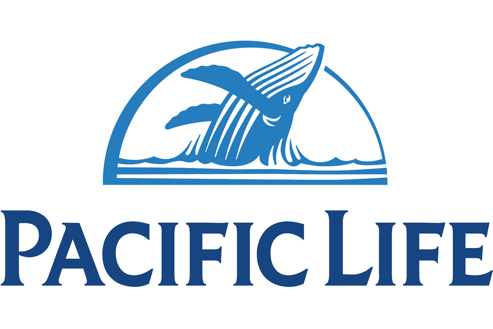 our partner