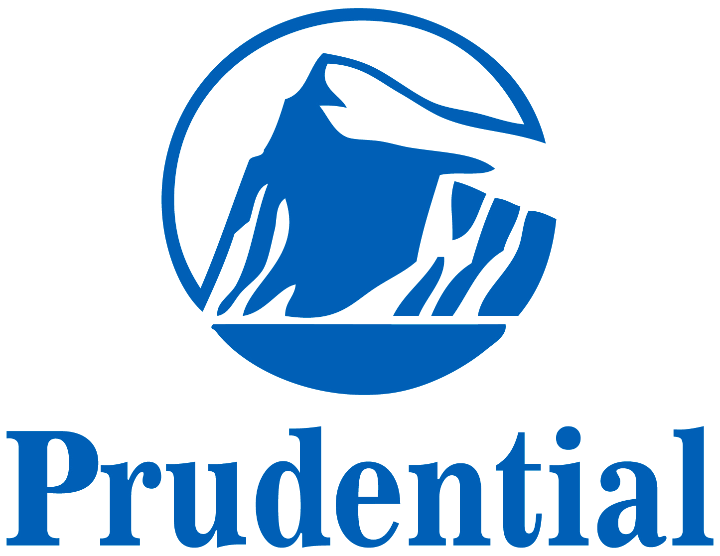 our partner